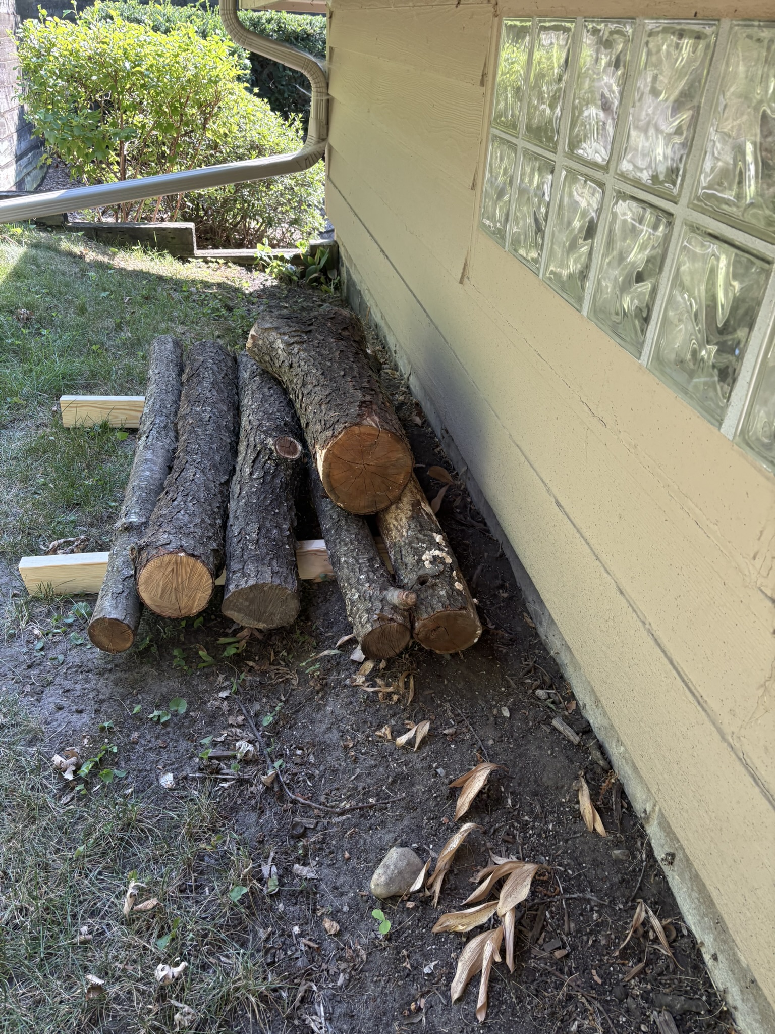 A supply of cherry, birch, and apricot wood for future carving projects.